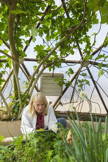 Caucasian scientist using digital tablet in greenhouse