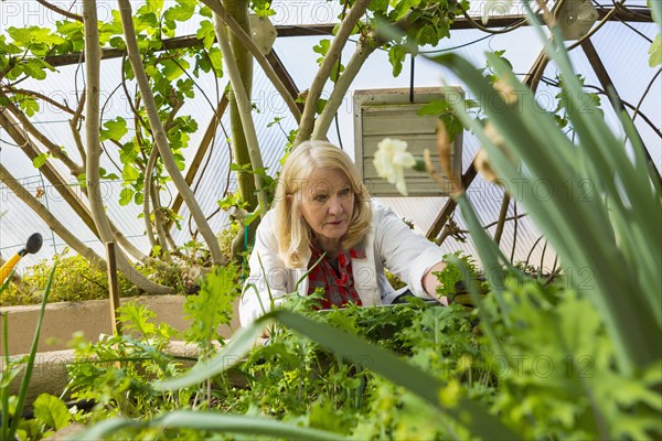 Caucasian scientist using digital tablet in greenhouse