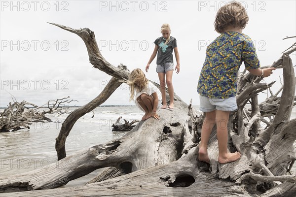 Caucasian boy and girls climbing on driftwood on beach