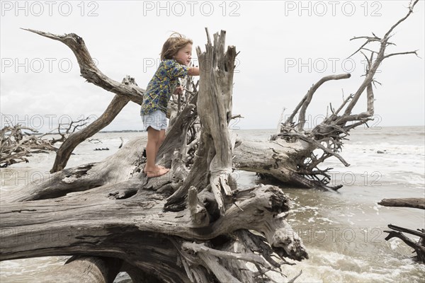 Caucasian boy climbing on driftwood on beach