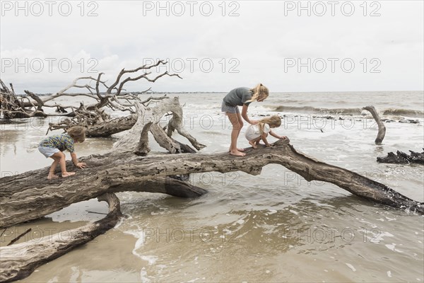 Caucasian by and girls examining driftwood on beach