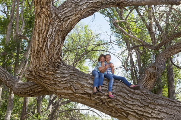 Caucasian girls hugging and sitting in tree