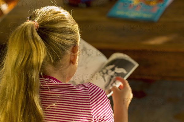 Rear view of Caucasian girl reading book