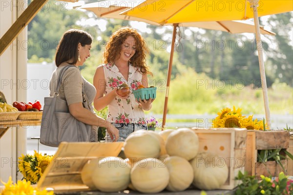 Women browsing fruit at farmers market