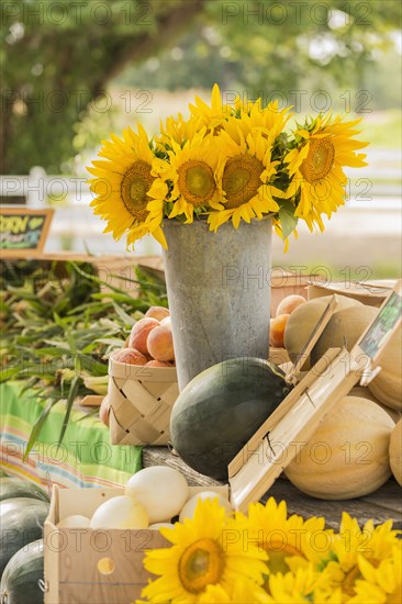 Flowers and produce at farmers market