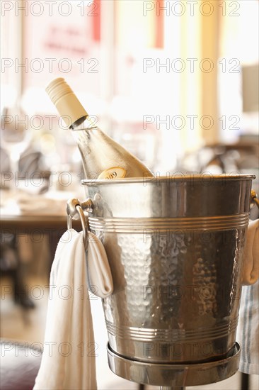 Close up of white wine in ice bucket