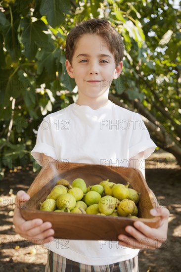 Caucasian boy picking fruit in orchard