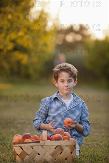 Caucasian boy picking fruit in orchard