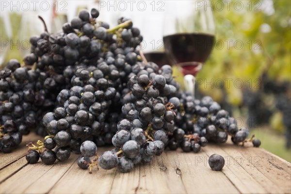 Grapes and glasses of wine on table outdoors