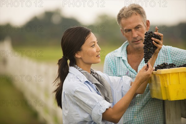 Farmers working in vineyard