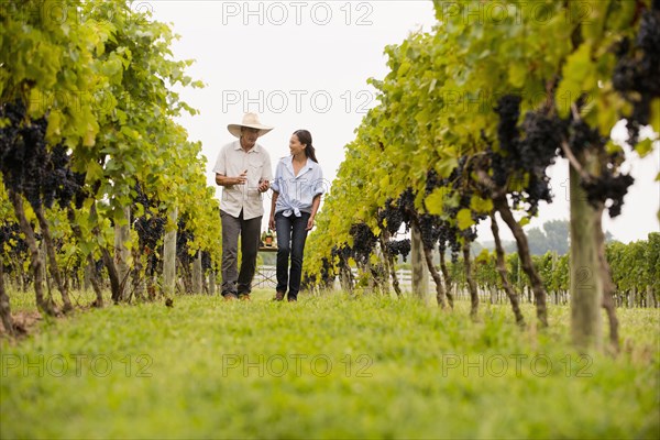 Farmers talking in vineyard