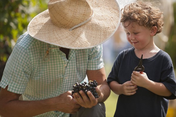 Caucasian man and son in vineyard