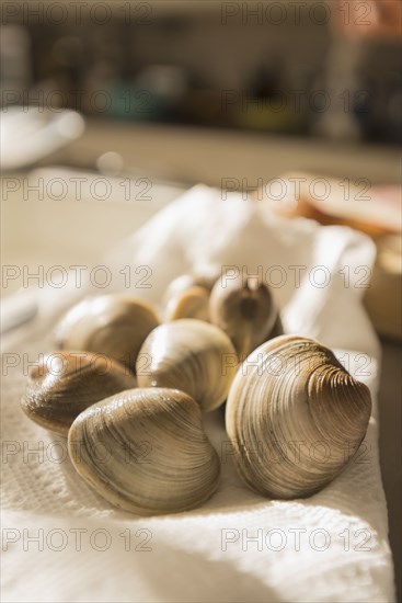 Close up of tray of clams