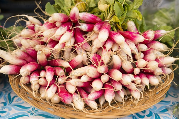 Close up of bunches of radishes