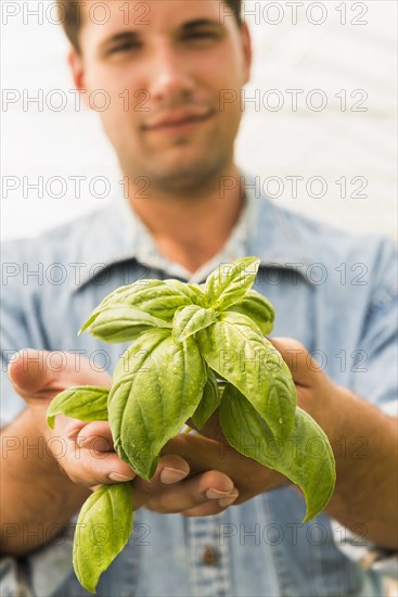 Caucasian man holding green basil plant