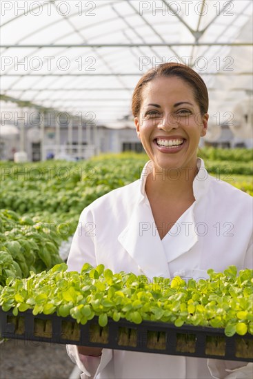 Black chef standing in greenhouse holding tray of plants