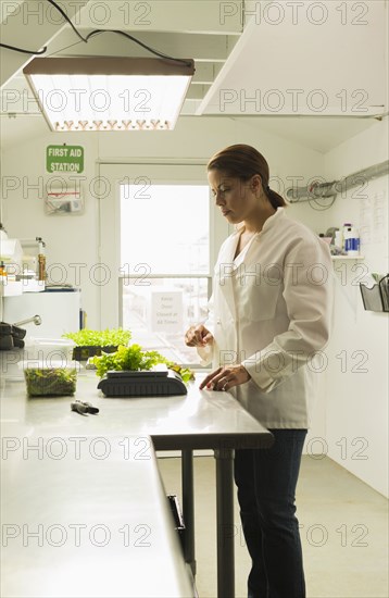 Black chef weighing green plants for salad