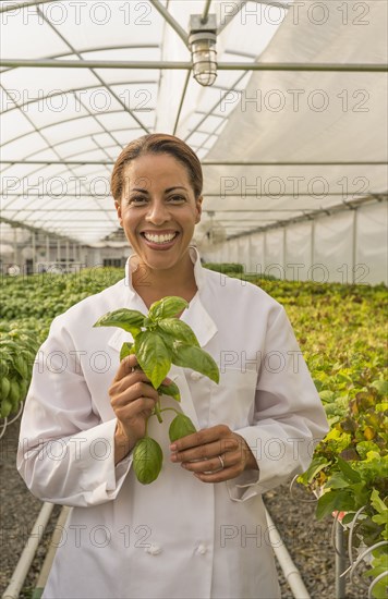 Black chef holding basil leaves in greenhouse