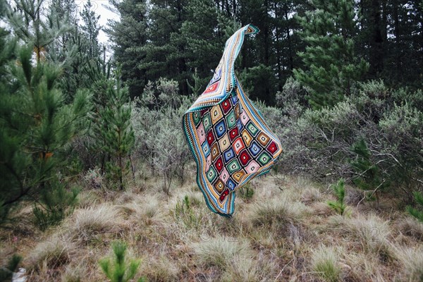 Quilt falling in forest