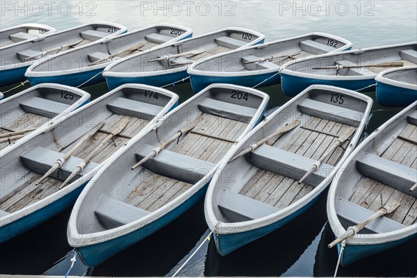 High angle view of rowboats docked in harbor