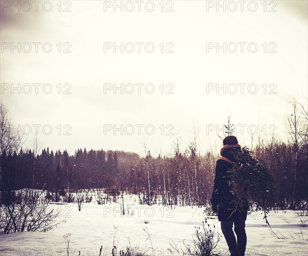 Caucasian man carrying tree in snowy field