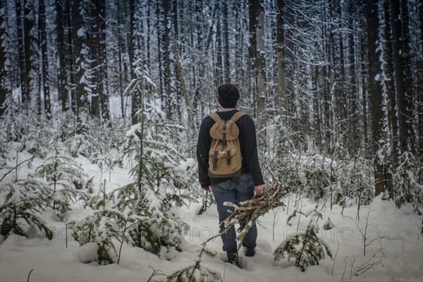 Caucasian hiker carrying firewood in snowy forest