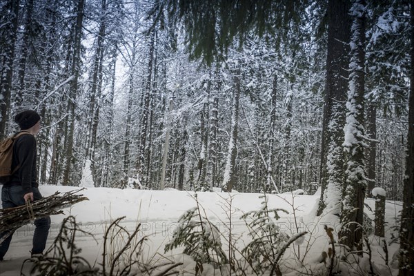 Caucasian hiker carrying firewood in snowy forest