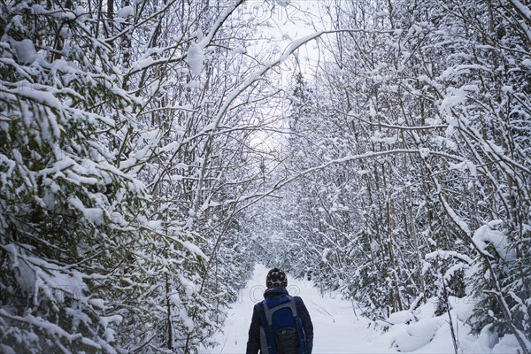 Caucasian hiker walking in snowy forest