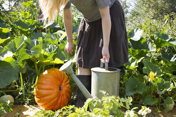 Caucasian woman carrying watering can in garden near pumpkin