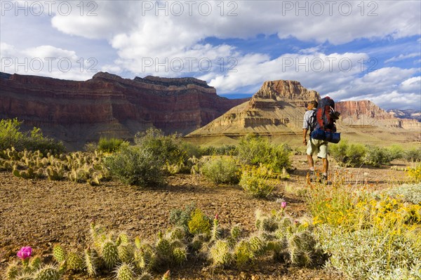 Black man hiking in canyon area