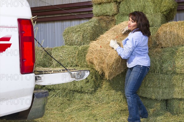 Hispanic woman loading hay onto truck