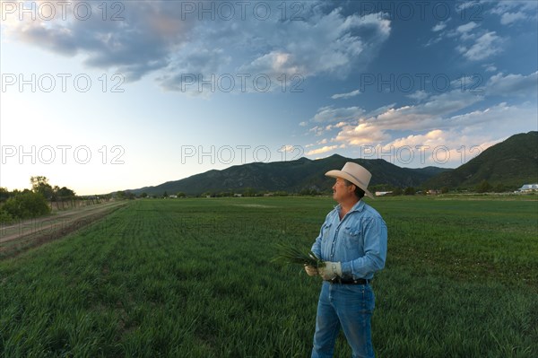Hispanic man looking at crop