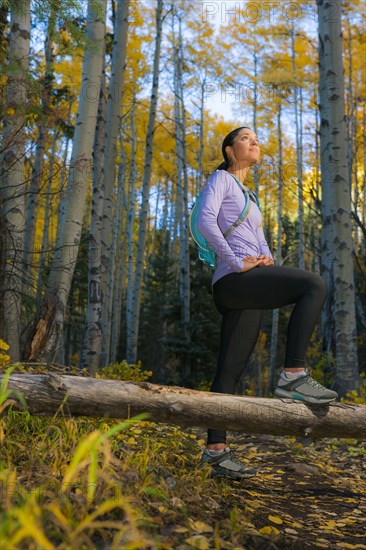 Hispanic woman hiking in woods