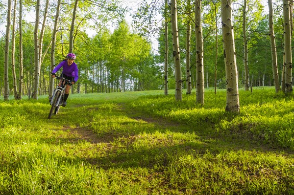 Hispanic teenager riding bicycle in woods