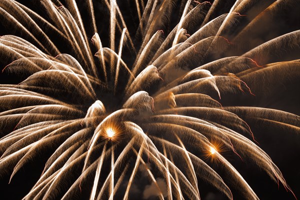 Fireworks exploding in sky