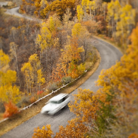 Car driving along road through autumn leaves