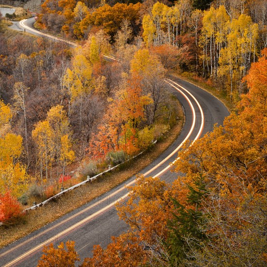 Long exposure of car driving on road through autumn leaves