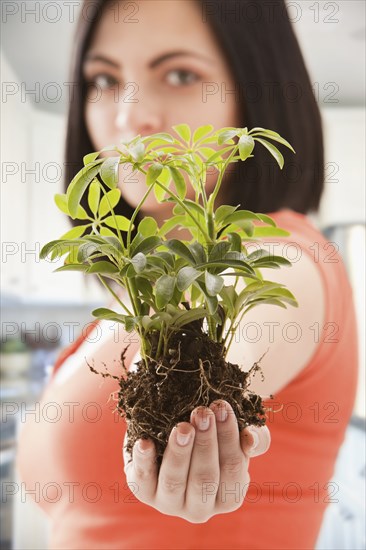 Caucasian woman holding plant in soil