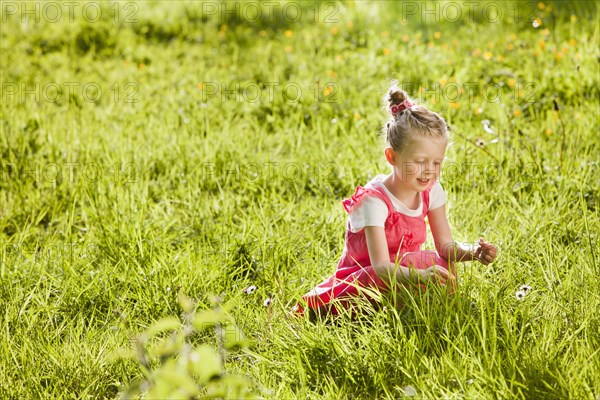 Caucasian girl picking flowers in field