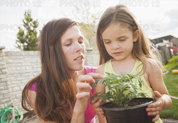 Caucasian mother and daughter gardening together