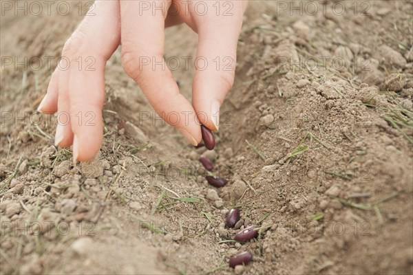 Caucasian woman planting seeds