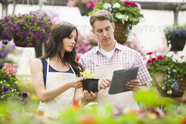 Caucasian people working in plant nursery