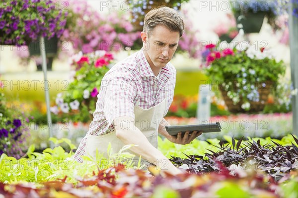 Caucasian man working in plant nursery