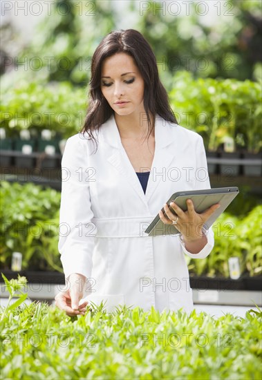 Caucasian scientist working in greenhouse