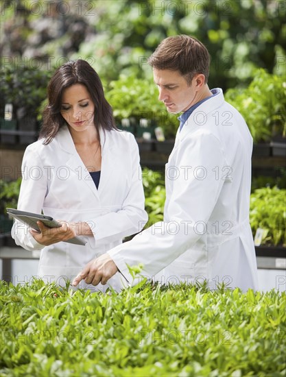 Caucasian scientists working in greenhouse