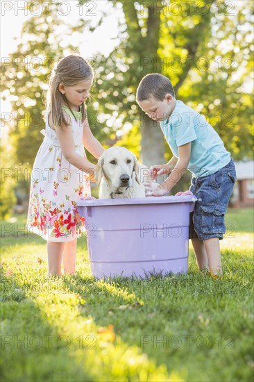 Caucasian brother and sister washing pet dog in backyard