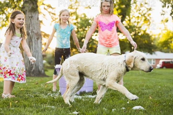 Pet dog running from bath in backyard