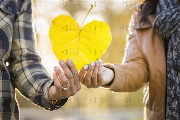 Close up of Black couple holding heart shaped leaf