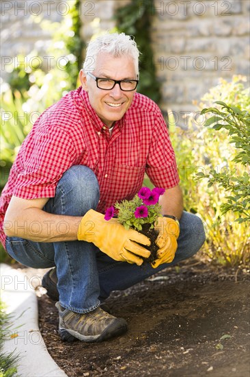 Caucasian man planting flowers in garden