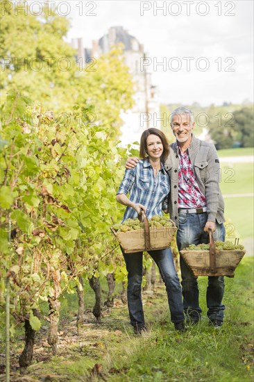 Caucasian farmer carrying grapes in vineyard